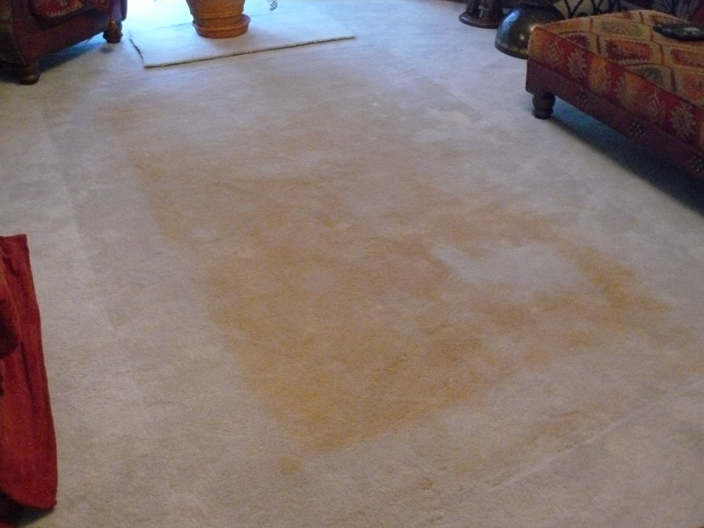 Yellow Stains on Your Carpet Under an Area Rug