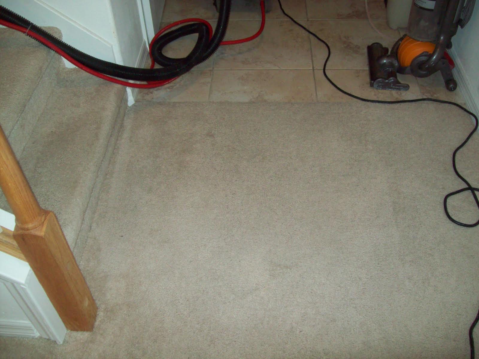 What Your Carpet Cleaner May Not Be Doing