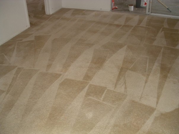 How Often You Should Have Your Home Carpets Cleaned