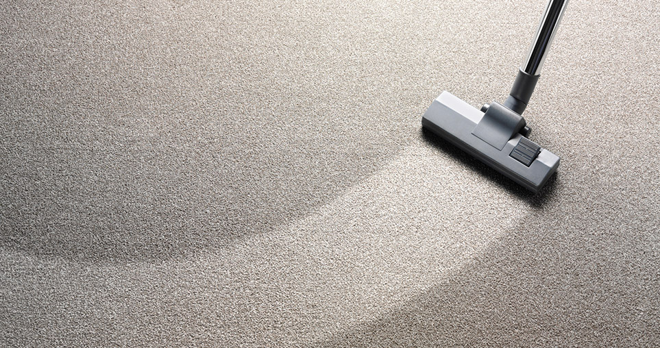 Understanding the Different Types of Carpet Cleaning